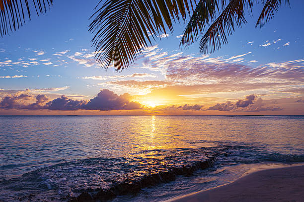 istock Tropical paradise beach with dramatic sky and colorful clouds during the sunset 2213974817