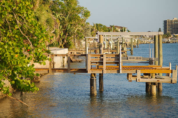 istock Scenic Waterfront View of Wooden Dock Amidst Lush Greenery 2213976319