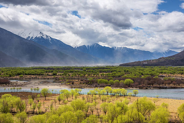 Nyingchi, Tibet, China - 6th April 2025 - Aerial view of Tibet Yani National Wetland Park in spring