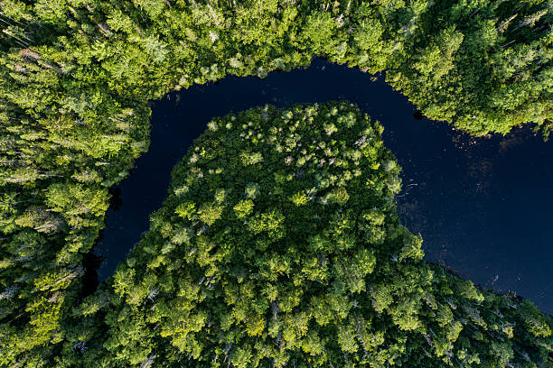 istock Wetland Landscape 2213987809