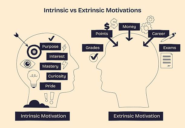 istock Intrinsic vs Extrinsic Motivations shows two heads comparing internal drives ... 2213993575