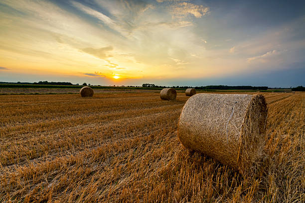istock Beautiful summer sunrise over fields with hay bales 2213994538