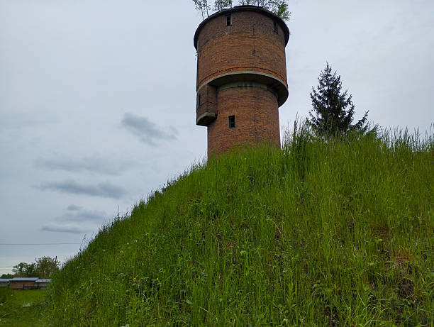 istock A brick water tower with small windows and trees growing on top stands on a green hill under a cloudy sky. A small building and trees are visible at the bottom of the hill. 2213995969