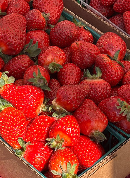 istock Fresh Farmers Market Strawberries 2213996279