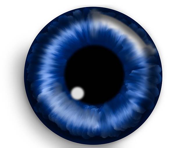 istock Illustration of a human blue iris. Dark blue or navy eye. Digital artwork creative graphic design. Copy space, flay lay. 2213996339