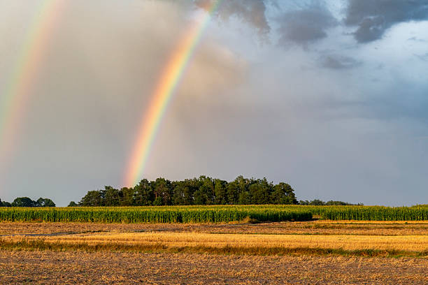 istock Beautiful rainbow on the stormy sky 2213996990