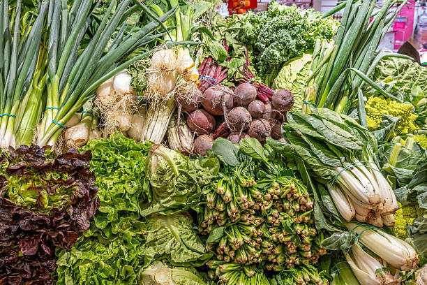 Different kinds of salads and vegetables