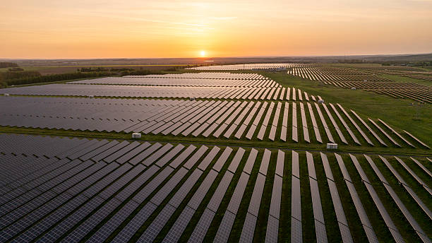 istock Solar Panels Capturing Sunlight During Sunset in Power Plant 2213999017