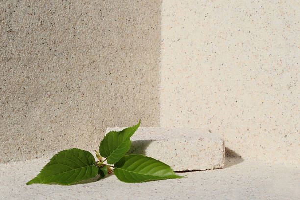 istock Rectangular stone podium against the background of a light stone wall and green sakura leaves. Cosmetic product display backdrop for luxury beauty. Minimalism style. 2214004172