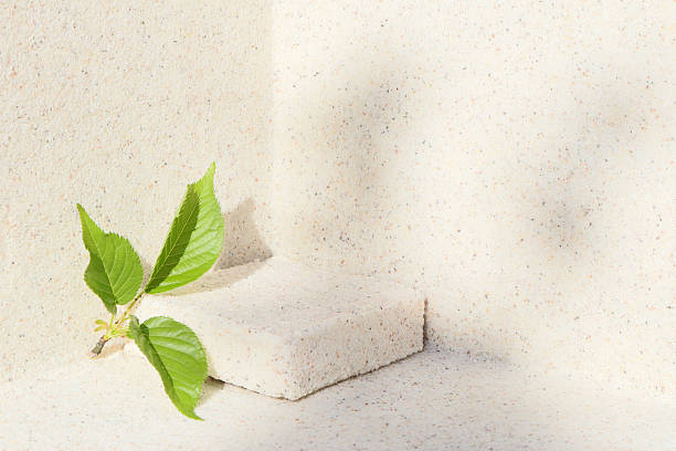 istock Rectangular stone podium against the background of a light stone wall and green sakura leaves. Cosmetic product display backdrop for luxury beauty. Minimalism style. 2214004243