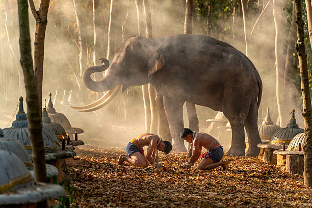 Muay Thai fighters performing a traditional wai khru ritual surrounded by candles, with a majestic elephant and glowing smoke in the background