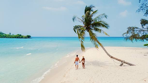 istock Couple walking hand in hand along a serene tropical beach under a clear blue sky 2214004326