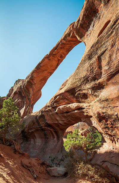 istock Arches National Park, in eastern Utah 2214005570
