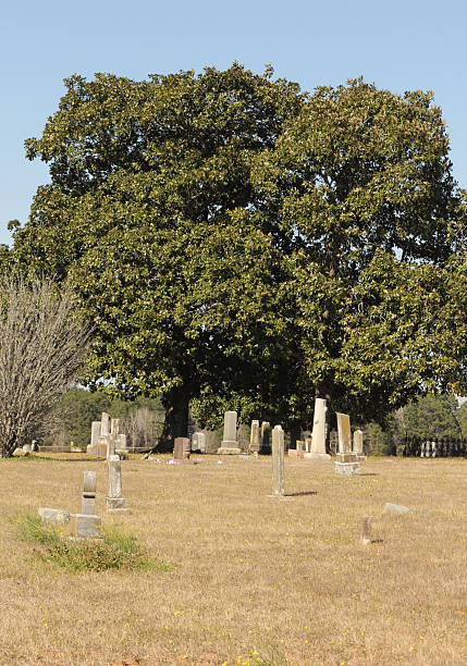 istock Historic Elkins Cemetery In Omen Texas 2214006018