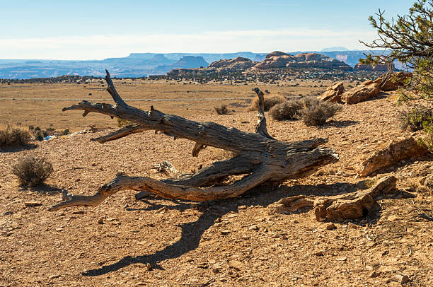 Canyonlands National Park in southeastern Utah, USA