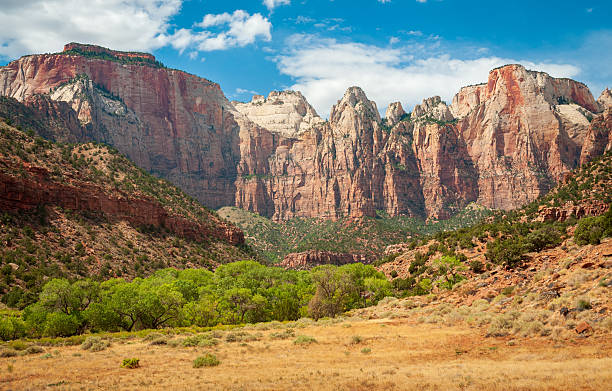 istock Zion National Park in Utah 2214007794