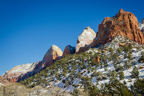 istock Zion National Park in Utah 2214009106
