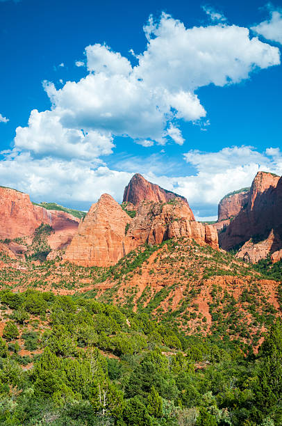 istock Zion National Park in Utah 2214009196