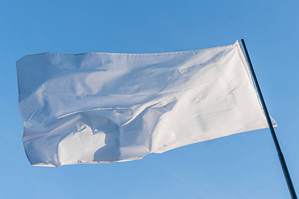 istock Large white flag with subtle texture, attached to two poles, slightly off-center against an out-of-focus overcast sky Candid photograph style, daylight lighting conditions 2214009203