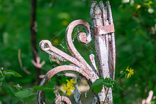 A tranquil outdoor scene features an aged, rusted metal gate with intricate scrollwork and spider webs, surrounded by vibrant wildflowers in tall grasses The setting appears to be a secluded park or