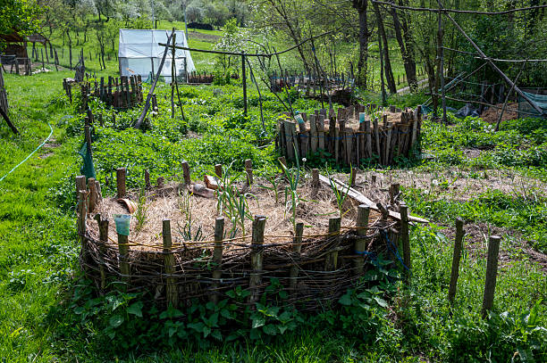istock organic farming in the countryside 2214009419