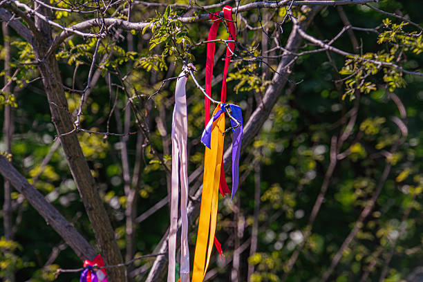 istock A bare tree with multicolored ribbons, against a backdrop of blue sky, casts gentle shadows on the ground The scene captures a naturalistic moment at dawn or dusk without staging or manipulation 2214009612