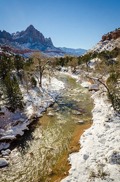 istock The Virgin River and its Tributaries at Zion National Park 2214009882