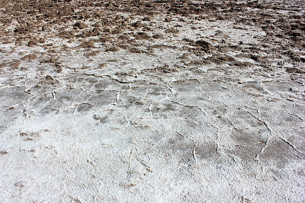 A vast expanse of dry earth exhibits intricate cracks and a white salt crust. The landscape reflects dryness and harsh conditions in the bright midday sun, creating a stark visual contrast.