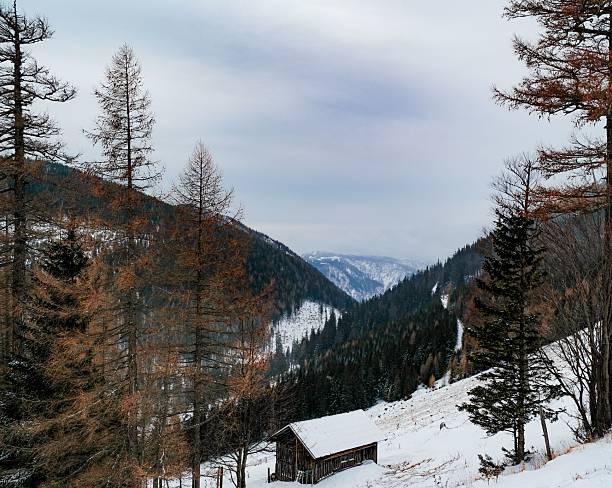 istock House in the snowy Alps 2214013933