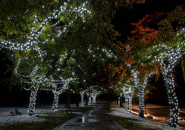 istock Festive decorations illuminate a tranquil park pathway during nighttime in autumn season 2214015008
