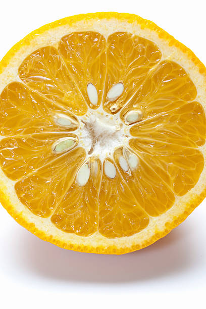 istock Cross section of a summer mandarin orange 2214018046