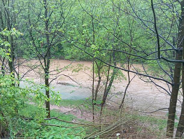 istock Nature and Rainy Day 2214019631