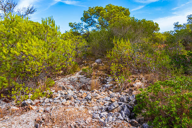 Costa Dorada coastline in Tarragona Catalonia in Spain.