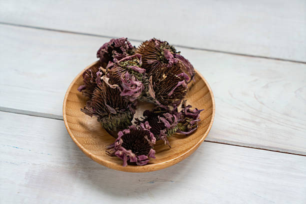 Dried Echinacea Purpurea Root in wooden bowl