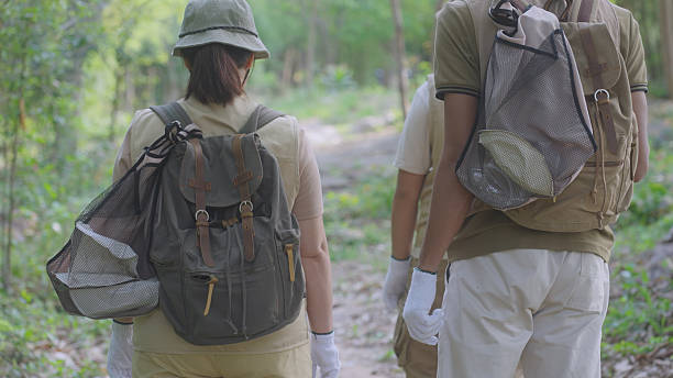 Eco-Friendly Forest Hike with Litter Cleanup by Volunteers