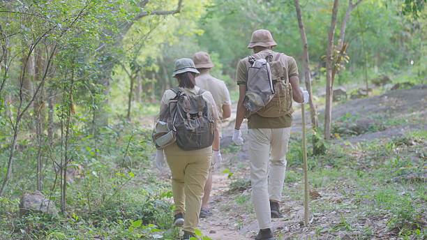 istock Eco-Friendly Forest Hike with Litter Cleanup by Volunteers 2214026230