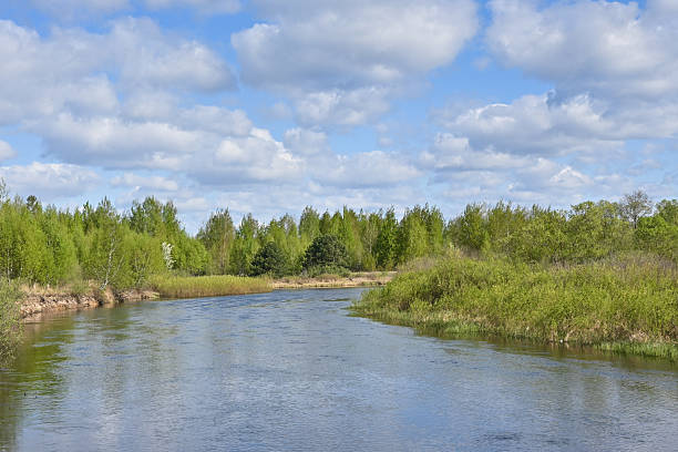 istock Spring in the Meshersky National Park. 2214029316