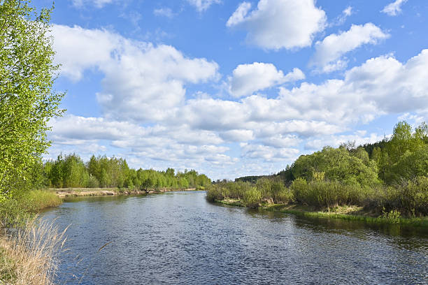 istock Spring in the Meshersky National Park. 2214029330