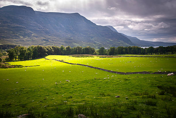 istock Farmland around Dundonnell 2214029759