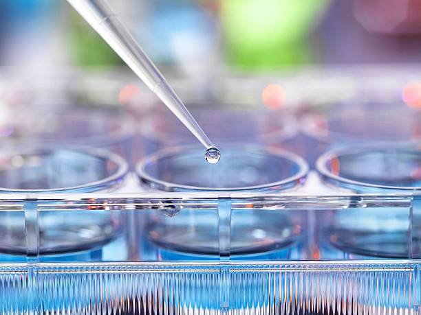 istock A close-up of a pipette precisely dispensing a droplet into a multi-well plate in a lab. 2214034727