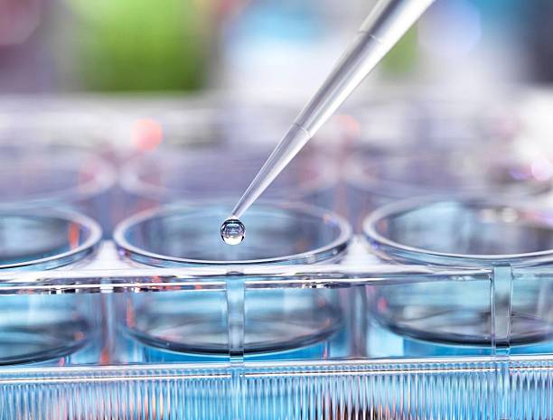 istock A close-up of a pipette precisely dispensing a droplet into a multi-well plate in a lab. 2214034730