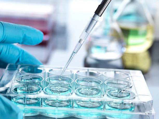 istock A close-up of a pipette precisely dispensing a droplet into a multi-well plate in a lab. 2214034731
