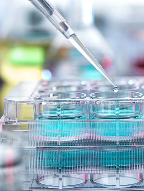 istock A close-up of a pipette precisely dispensing a droplet into a multi-well plate in a lab. 2214034805
