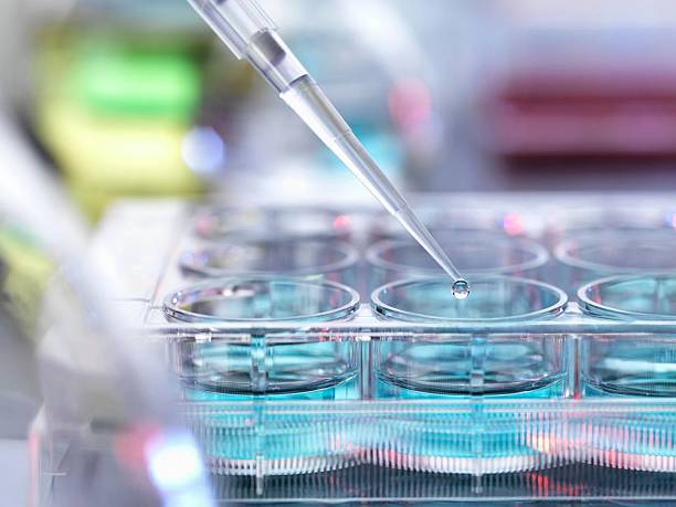 istock A close-up of a pipette precisely dispensing a droplet into a multi-well plate in a lab. 2214034810