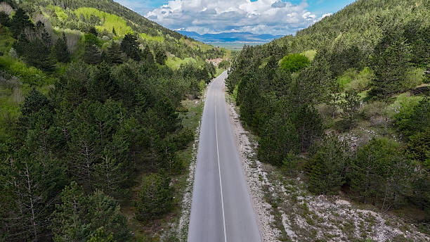 istock Asphalt road through a mountainous mixed forest landscape 2214035554