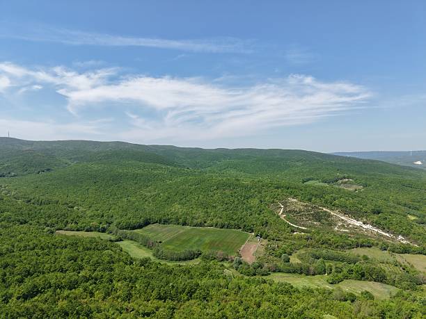 istock Aerial view of the nature 2214040761