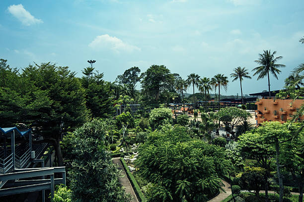 Lush green forest with a blue sky above. Trees are scattered throughout the area. There are also some buildings in the background