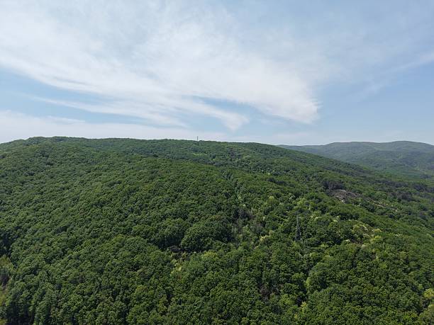 istock Aerial view of the nature 2214041777