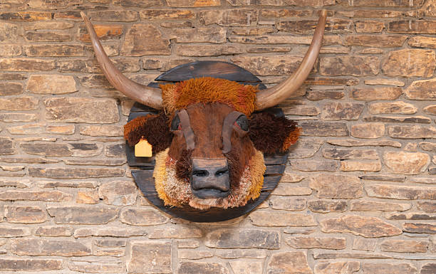 istock An Artistic Bull Head Mount Found Displayed on a Stone Wall in Rustic Interior Design 2214042811