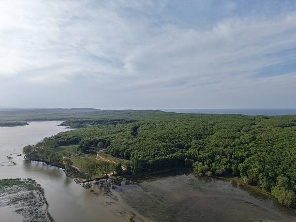 istock Aerial view of the nature 2214043458
